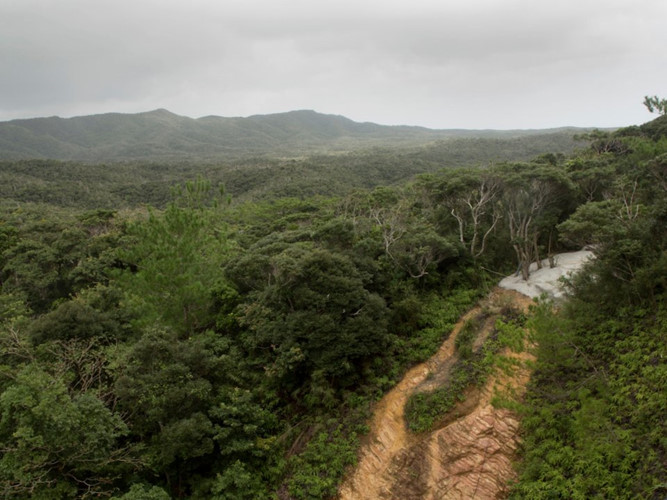 Thủy quân lục chiến Mỹ được học gì để sống sót trong môi trường nhiệt đới?